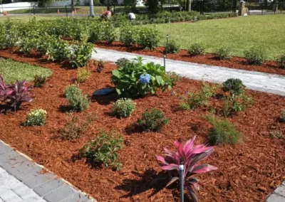 Landscape Contractor