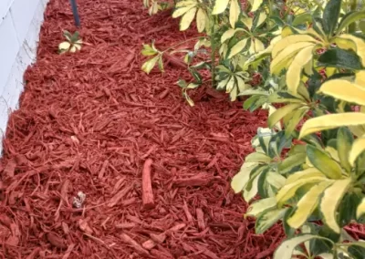 Landscape Services (11)