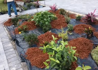 Landscape Services (14)