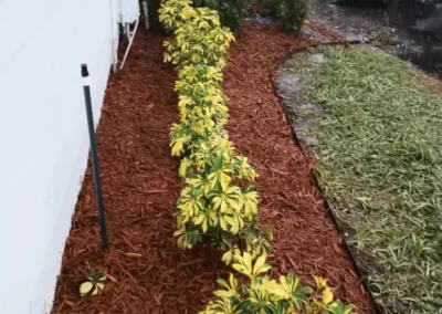 Landscape Services (16)