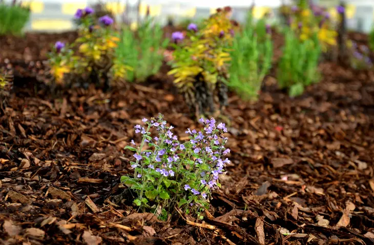 Affordable Mulching Fruitland Park FL Affordable Mulching Fruitland Park FL