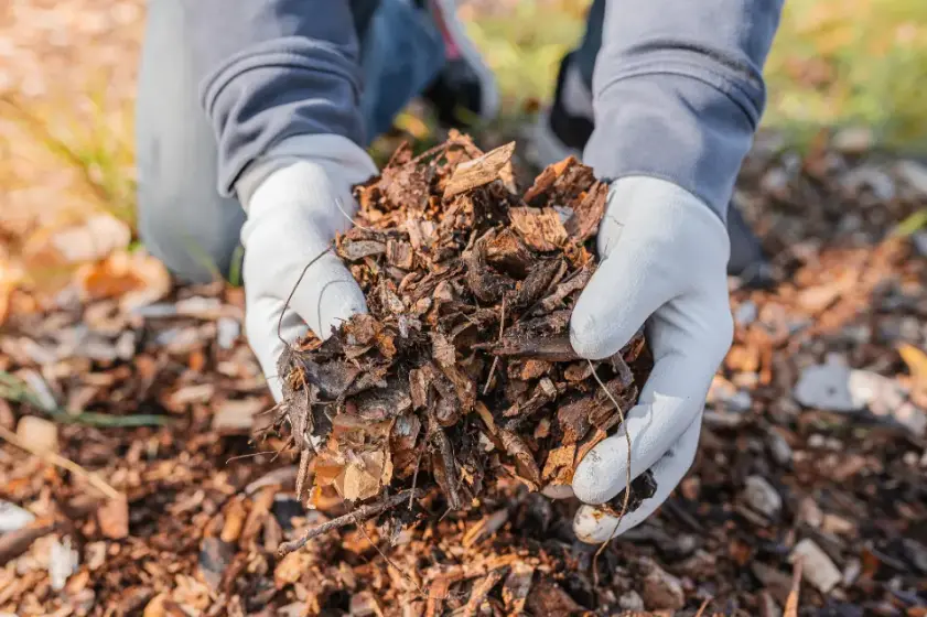 Mulching Tips For Weed Control In Your Garden Fruitland Park FL Mulching Tips For Weed Control In Your Garden Fruitland Park FL