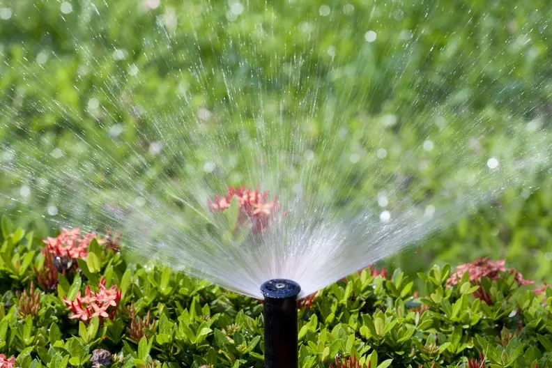 Signs You Need To Upgrade Your Landscaping Irrigation System in Fruitland Park FL Signs You Need To Upgrade Your Landscaping Irrigation System in Fruitland Park FL