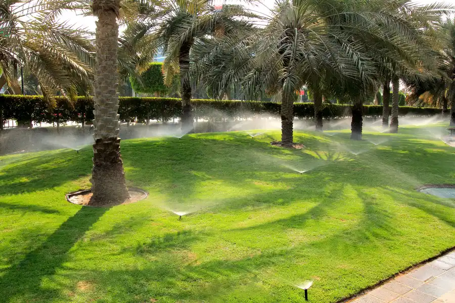 Superior Irrigation Services Fruitland Park FL Superior Irrigation Services Fruitland Park FL