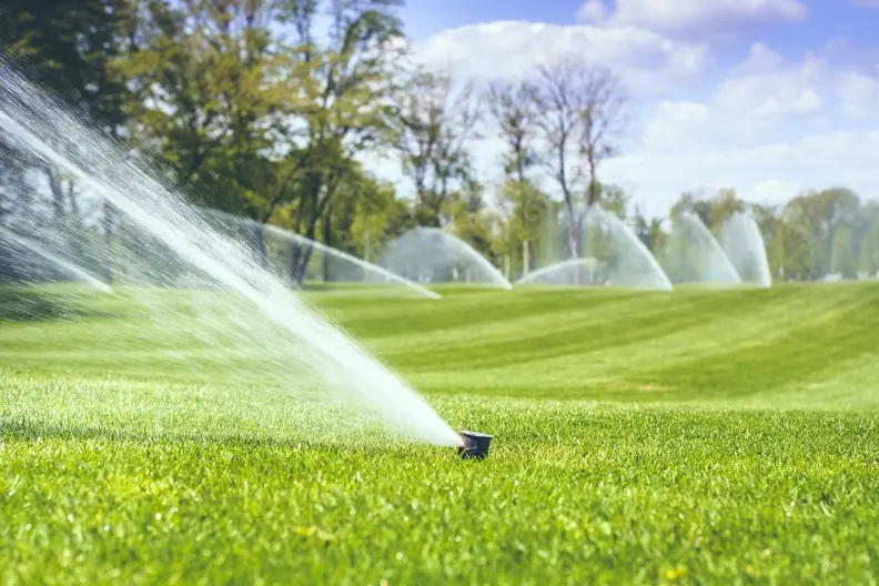 The Role Of Irrigation In Sustainable Landscaping Practices Fruitland Park FL The Role Of Irrigation In Sustainable Landscaping Practices Fruitland Park FL