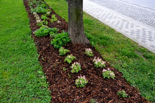The Role Of Mulch In Improving Soil Structure And Fertility Fruitland Park FL The Role Of Mulch In Improving Soil Structure And Fertility Fruitland Park FL